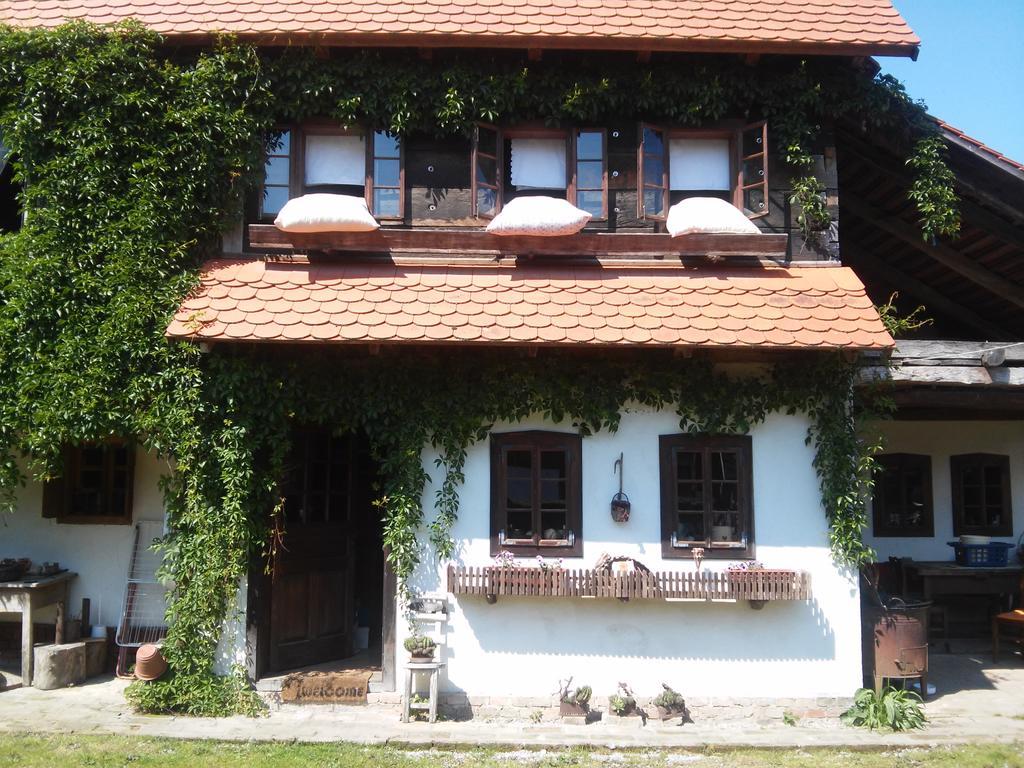 Rural Tourism Family Ravlic Pension Muzilovcica Buitenkant foto